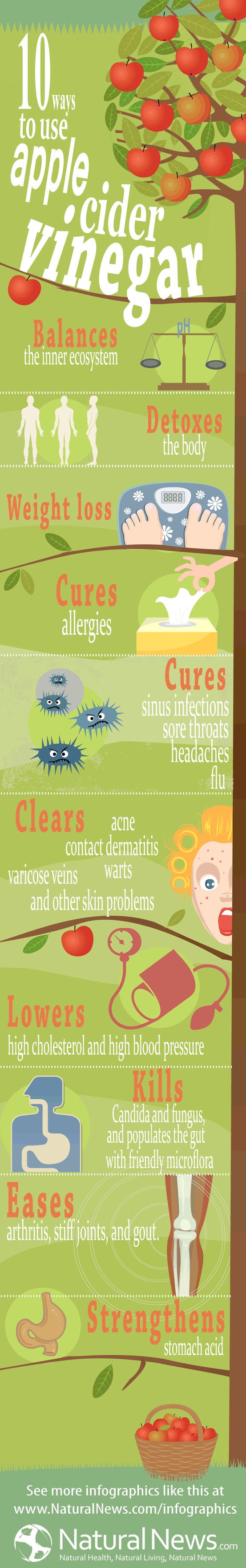 Apple Cider Vinegar Apple Cider Vinegar